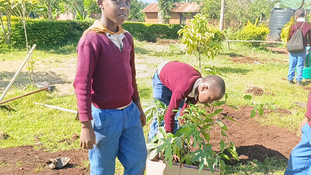 Children in the school garden